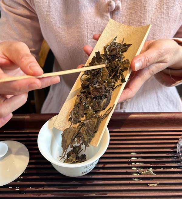 紫藤茶舍 - 交大校园文化茶吧